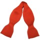 Rote Fliege